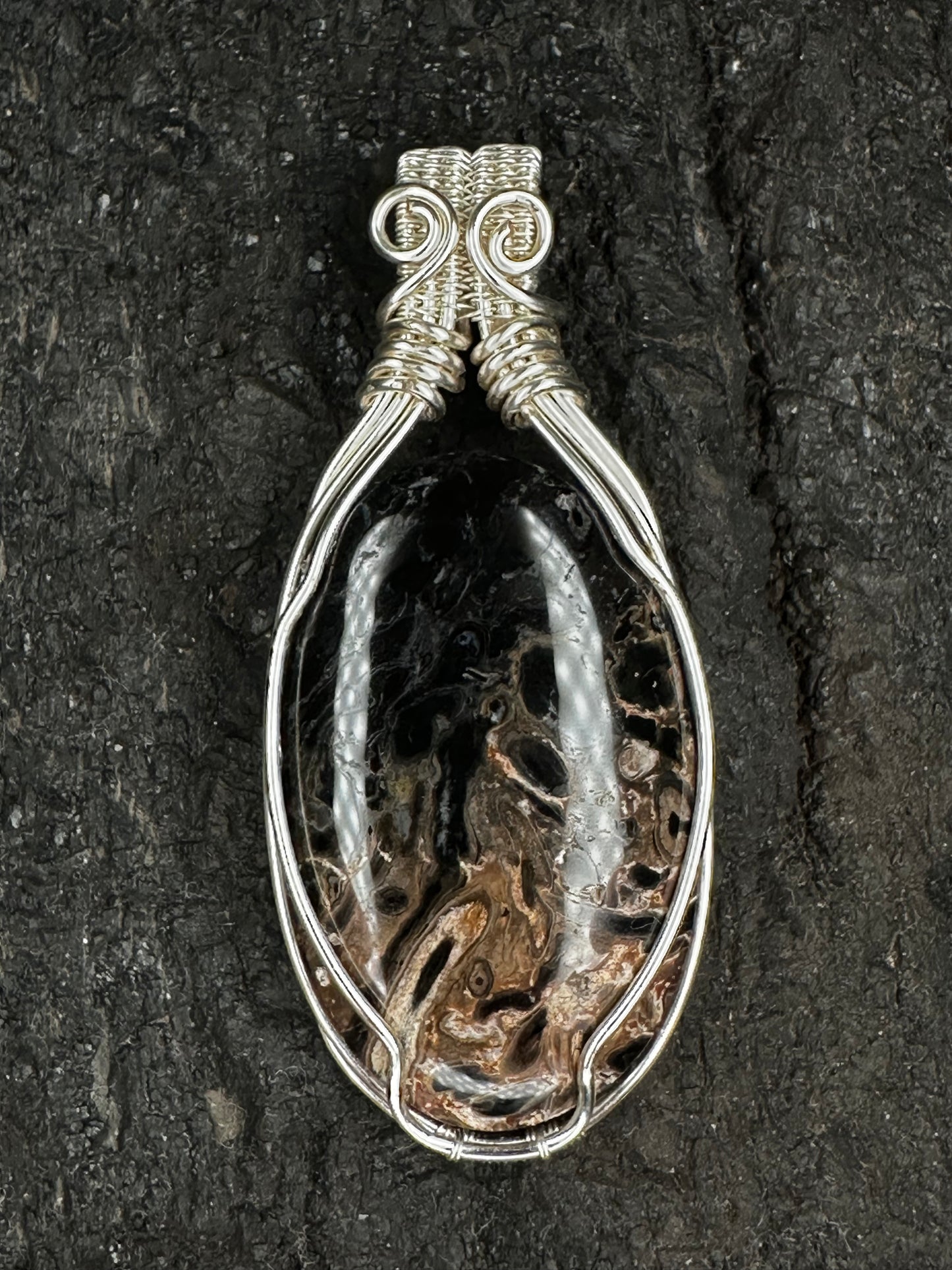 A teardrop-shaped pendant featuring a polished black and brown fossil palmroot gemstone in a silver wire-wrapped setting, displayed on a dark textured background.