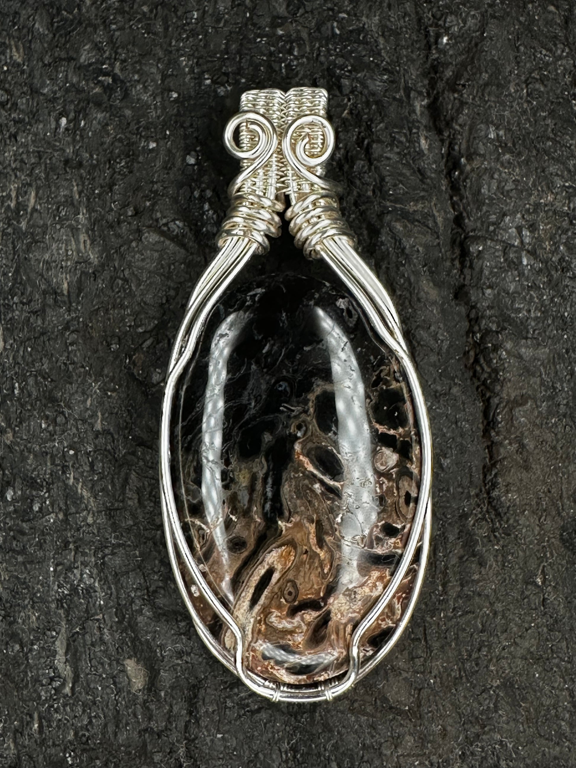 A teardrop-shaped pendant featuring a polished black and brown fossil palmroot gemstone in a silver wire-wrapped setting, displayed on a dark textured background.